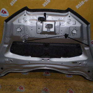 Капот Nissan Leaf ZE0 дефект