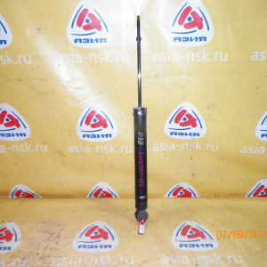 Амортизатор Nissan ZE0 Leaf R