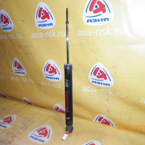 Амортизатор Nissan ZE0 Leaf R