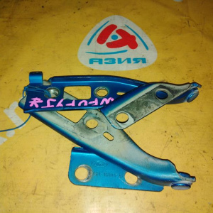 Петля капота Ford Fiesta 5 CBK/JH/JD '2001-2005 пара 1324621 1148938