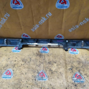 Накладка 5-й двери Toyota Alphard ANH10/MNH15 в 76801-58010(20)