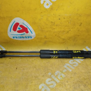 Амортизатор капота BMW X1 E84 '2008-2015 пара 41612990344