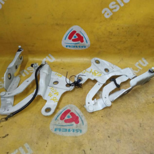 Петля капота BMW X1 E84 '2008-2015 пара 41002993150 41002993149