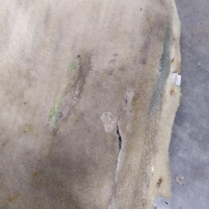 Ковер пола Toyota Harrier GSU35 (бежевый) дефект