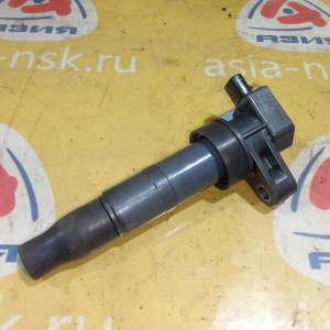 Катушка зажигания Hyundai G6DB/G6DA Santa Fe CM/BM '2006- 2 контакта 273013C000