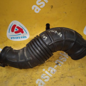 Патрубок воздушного фильтра Hyundai D4CB H1/Grand Starex TQ гофра 28138-4H000