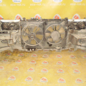 Ноускат Toyota Ipsum SXM10 '1996-1998 a/t (без габаритов) Дефект бампера, Дефект планки ф.44-3/11