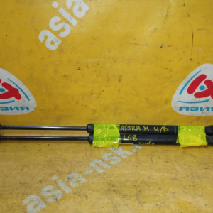 Амортизатор задней двери Opel Astra H A04/L48 '2004- Hatchback пара 24463829