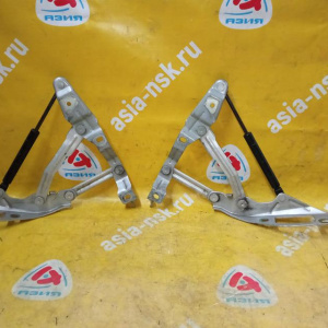Петля капота Audi TT 8N3 '1999-2006 пара с амотризаторами 8N0823359 8N0823301
