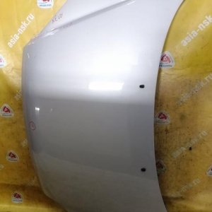 Капот KIA Sportage KM/JE/FQ '2004-2010 664001F010