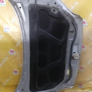 Капот KIA Sportage KM/JE/FQ '2004-2010 664001F010