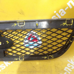 Решетка радиатора Hyundai Terracan HP/EF '2004- (дефект креплений, трещина) 86252-H1060