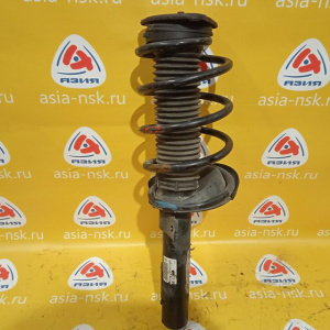 Стойка Ford CAP Focus 2 AODA перед, прав 4M51-18045-PBB