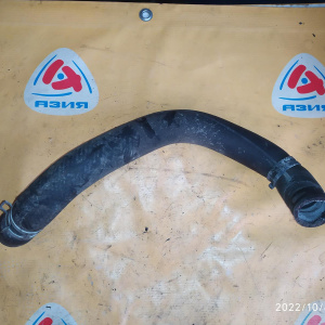 Патрубок  радиатора Toyota 16572-22050 Vista Ardeo ZZV50 1ZZ '1998-2003 R н F