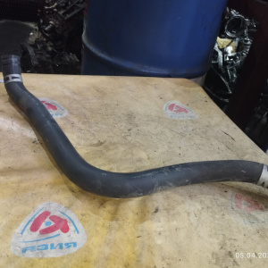 Патрубок  радиатора Honda 19502-PCA-000 Accord CF3/CF4/CF6/CL3 F18B/F20B/F23A н низ