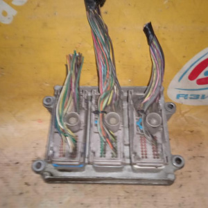 Блок управления двс Chevrolet TrailBlazer GMT360/KC Vortec 4200/LL8 '2003 4.2L R6 2pin YCLT 12574976, 19210065