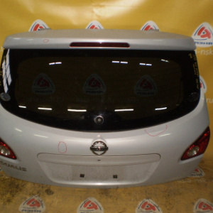 Дверь задняя Nissan Qashqai/Dualis J10 '2006-2010 вст.05091 Дефект (камера)