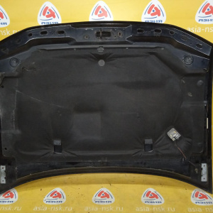 Капот Chevrolet TrailBlazer GMT360/GMT370/KC чёрный 12478013