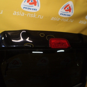 Дверь задняя Nissan Juke YF15 Дефект (Камера)+Дефект камеры