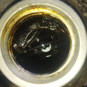 Двигатель Mazda B3-2508323 впрыск без генератора и трамблера Demio DW3WF '1996-