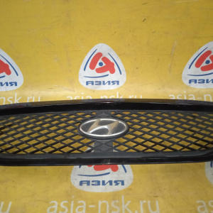 Решетка радиатора Hyundai Terracan HP/EF '2004- (дефект креплений) 86252-H1060