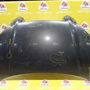 Капот Hyundai Tucson JM/BH '2004-2010 без решётки (дефект, вмятин много) 664002E020