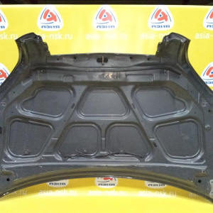 Капот Hyundai Tucson JM/BH '2004-2010 без решётки (дефект, вмятин много) 664002E020