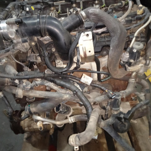 Двигатель Ford Ranger P5AT-1023772 3.2L TDCi MT T6/TKE '2012