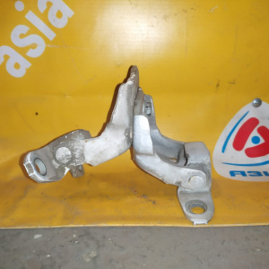 Петли на дверь Toyota Corona ST170 зад, лев (пара)