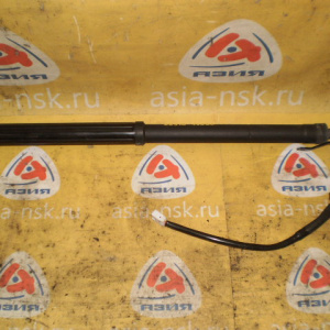 Амортизатор задней двери Toyota RAV4 AXA52 Электро (цена за один) зад, прав 68910-42060