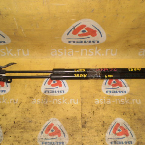 Амортизатор задней двери Toyota RAV4 AXA52 (пара)