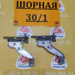 Петли на дверь Toyota Raum EXZ10 зад, прав ВЕРХ