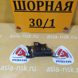 Петли на дверь Toyota Isis ZNM10 зад, прав ВЕРХ