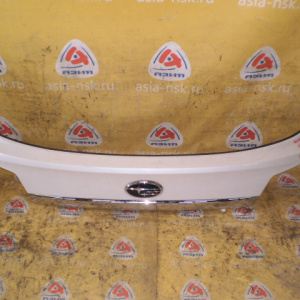 Накладка 5-й двери Subaru Outback BRF/BR9 (В сборе) C08010035