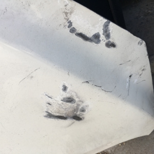 Капот NISSAN Note E12 '2012-2016 дефект