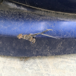 Ноускат Subaru Legacy BH5 EJ201 '2001-2003 a/t дефект бампера ф.100-20751 xenon тум.114-20751