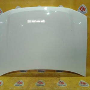 Капот Chevrolet TrailBlazer GMT360/GMT370/KC белый 12478013