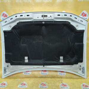 Капот Chevrolet TrailBlazer GMT360/GMT370/KC белый 12478013