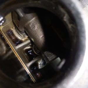 Двигатель Ford Fiesta 6 TSJA-DU55945 1.6L Duratec Ti-VCT (123PS) Sigma 6AT БЕЗ НАВЕСНОГО CB1 '2013