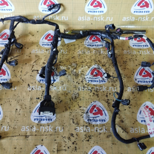 Коса ДВС Mazda CA CX-9 TB 4WD a/t ( 1 части ) на форсунки и на катушки TG21-67080-K7425 ( TG2167080 )