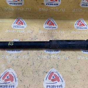 Амортизатор Mercedes W219/C219 CLS-Class '2005 A2193260200