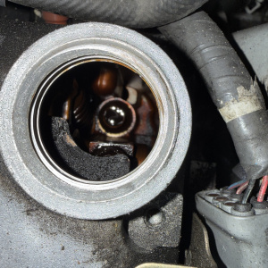 Двигатель Mazda B3-301001 впрыск без генератора и трамблера Demio DW3W-551966 '2000-