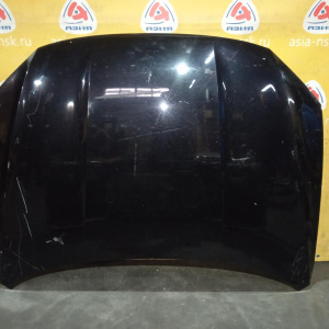 Ноускат Volkswagen Passat NMS '2016 Комплект с капотом и крыльями