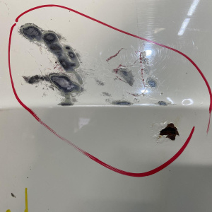 Капот Kia Soul AM '2011 ржавчина, вмятины