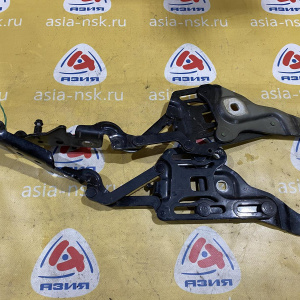 Петля капота BMW X5 E70 '2013 пара 41007198617