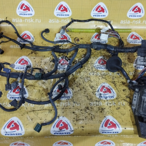 Коса ДВС Nissan QG15 Sunny FB15-823484 '10.2003- 2WD a/t NEW+ комп. A56-W23 BW5 / 237108N270 / 2371M8N270  эл. заслонка 240118N063