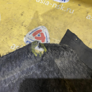 Подкрылок Maserati Quattroporte M139/MQP '2004 зад, лев Войлок