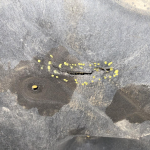 Защита днища кузова BMW 2-Series Gran Tourer F46 перед, прав '2017 порвана 51757290804