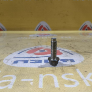 Болт крепления суппорта Subaru Exiga/Forester/Impreza/Legacy/Levorg/Outback YA4/SH5/SJ5/GE2/GHE/GRE/BM9/BR9/VM4 R 901000324