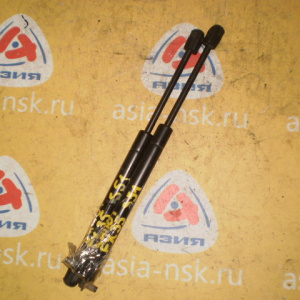 Амортизатор капота Infiniti FX35 S51 (пара)